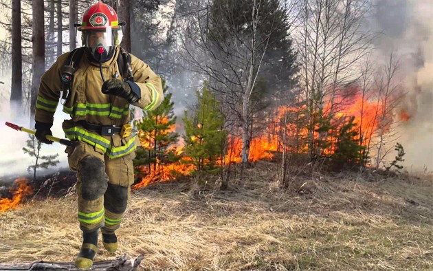 Защита крымских лесов от пожара